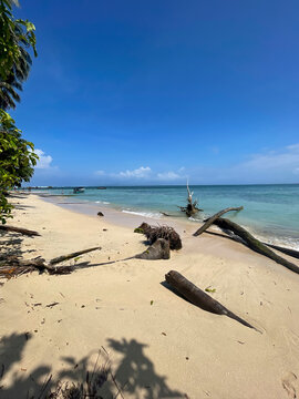 Tropical beach scene in Bocas del Toro, Panama, golden sand, turquoise water and scattered driftwood,sunny day, blue sky