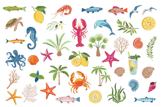 Set of vector summer elements, sea animals, palm trees, shell, lemons, fish. Bright colorful collection.