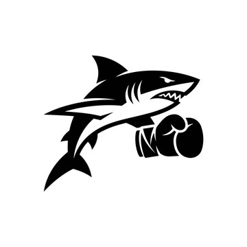 Shark Wearing Boxing Gloves.