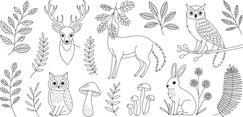Naklejka premium Whimsical Forest Animals, Wildlife Illustrations, Line Art, Vector Icons, 20 Elements