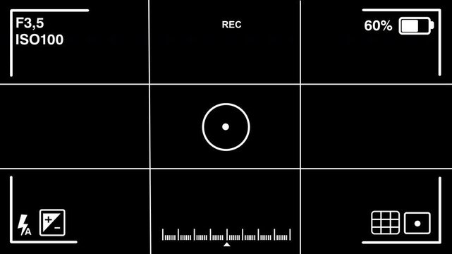 Digital Camera Viewfinder Interface Overlay with Recording Indicators.
