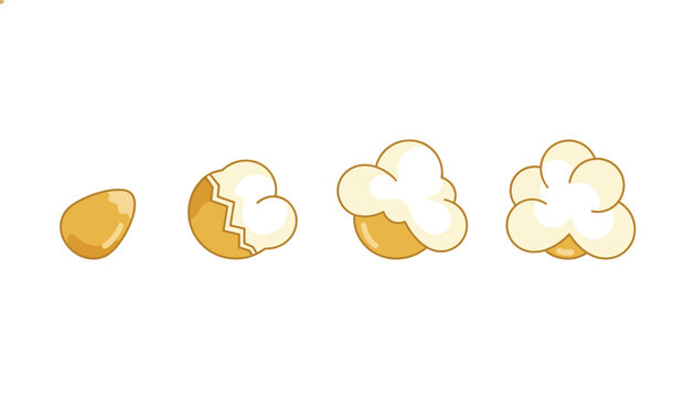 Sequential stages of a corn kernel popping into a fluffy piece of popcorn isolated on a clean white background.