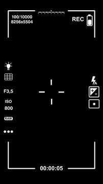 Digital Camera Viewfinder Interface Recording Overlay with Flashing Rec Indicator.
