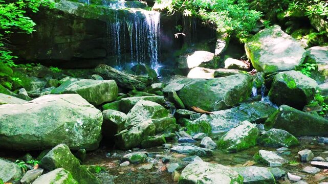 Small Waterfall Beside The Rainbow Falls Trail, Great Smoky Mountains National Park, Tennessee, USA