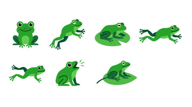 Green Frogs in Various Poses.