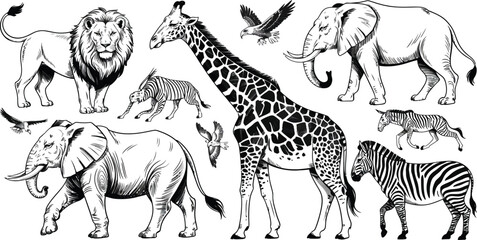 Wildlife icons, safari animals, black and white illustrations, vector set of 7 © yamin678