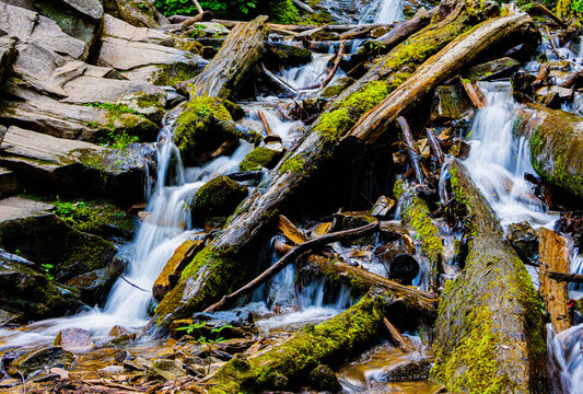 Mingo Creek Cascading Over Small Boulders and Logs at The Bottom of Mingo Falls, Great Smoky Mountains National Park, North Carolina, USA