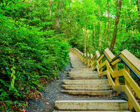 The Steep Stairway on the Mingo Falls Trail,  Great Smoky Mountains National Park, North Carolina, USA