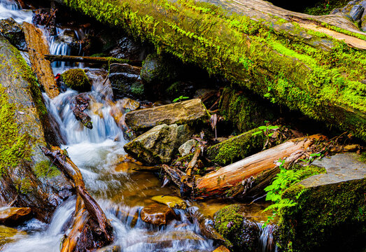 Mingo Creek Cascading Over Small Boulders and Logs at The Bottom of Mingo Falls, Great Smoky Mountains National Park, North Carolina, USA