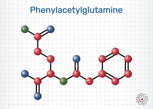 Phenylacetylglutamine (PAG, pam) molecule, a major protein metabolite and biomarker. Sheet of paper in a cage. Molecular model
