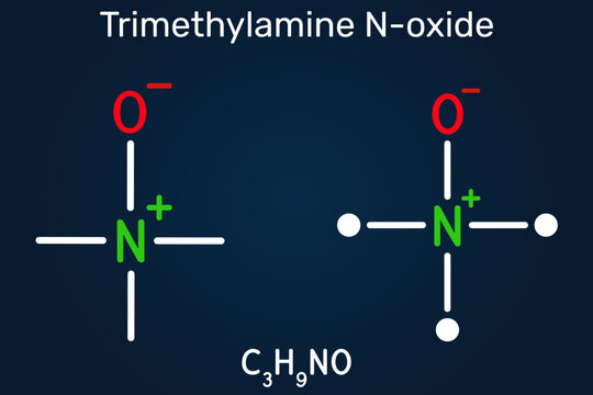 Trimethylamine N-oxide (TMAO), amine oxide compound. Gut microbiota metabolite, cardiovascular biomarker. Dark blue background