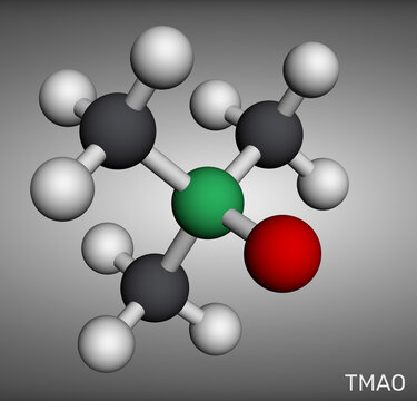 Trimethylamine N-oxide (TMAO), amine oxide compound. Gut microbiota metabolite, cardiovascular biomarker. Molecular model. 3D rendering