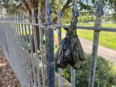 Several Black dog poo bags have been discarded irresponsibly by hanging them on a spike of a metal railing fence . Gren rural background . Litter 