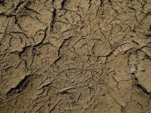 Texture of dry cracked mud ground with dead grass imprints. Natural drought background for environmental ecology concepts, climate change topics, and industrial design prints.