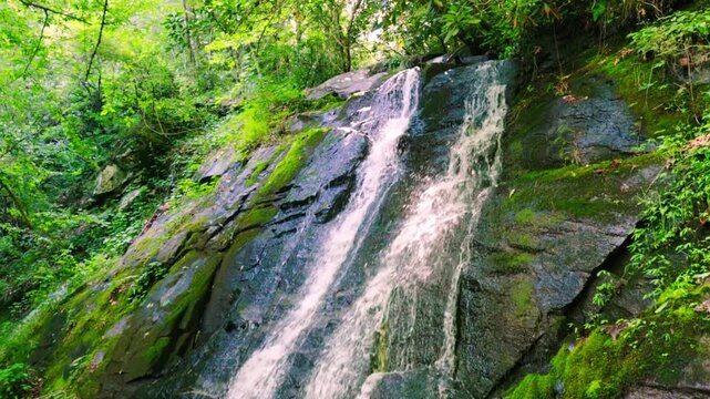 Juney Whank Falls Cascading Eighty Feet Down a Rock Wall, Great Smoky Mountains National Park, North Carolina, USA