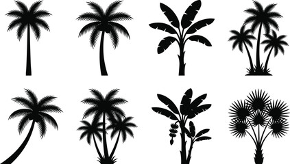 Obraz premium Tropical Tree Silhouette Vector Collection Featuring Palm and Banana Trees with Distinct Leaf Patterns