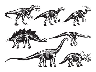 Collection of prehistoric dinosaur skeleton silhouettes including Tyrannosaurus Rex and Stegosaurus © MD