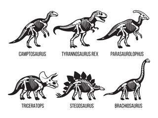 Educational dinosaur skeleton chart with labels for Camptosaurus, T-Rex, and Brachiosaurus © MD