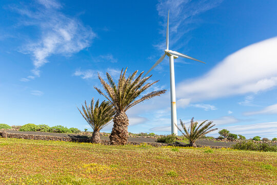 A wind turbine in the the island's largest wind farm (Parque Eolico) near Los Valles in the Canary Island of Lanzarote, Spain