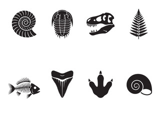 Collection of Black and White Prehistoric Fossils and Dinosaur Silhouettes © Anzuman