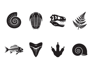 Collection of Black and White Prehistoric Fossils and Dinosaur Silhouettes © Anzuman