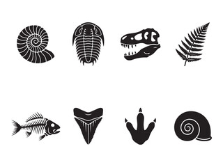 Collection of Black and White Prehistoric Fossils and Dinosaur Silhouettes © Anzuman