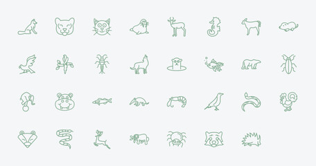 outline animals icons set - fox sitting, cougar, coyote, raven. editable vector for web and mobile ui © IconArt