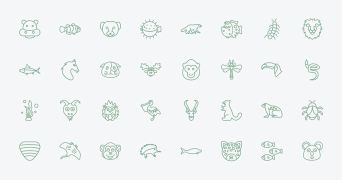 outline animals icons set - hippo, clown fish, ape, tropical frop. editable vector for web and mobile ui