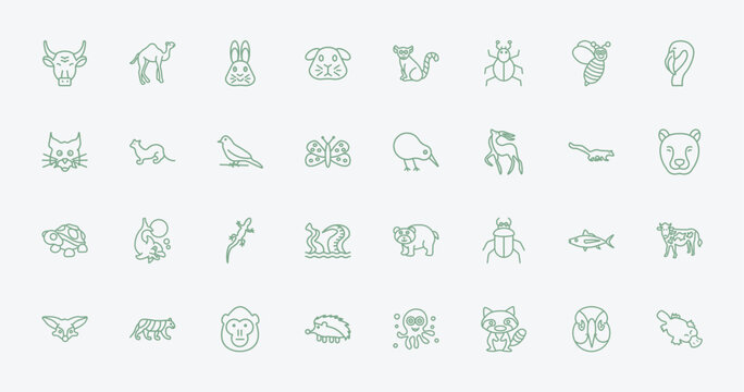 outline animals icons set - bull, camel, kiwi bird, tuna. editable vector for web and mobile ui