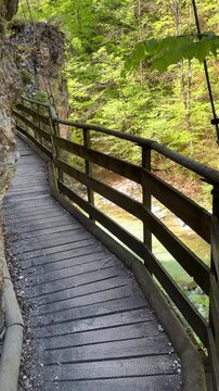 Orrido della Slizza, beautiful canyon in Italy, close to Tarvisio