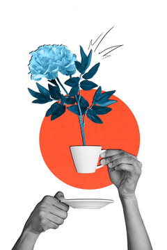Vertical image collage human hands hold coffee tea cup drink beverage liquid cafe restaurant menu order blossom flower beauty plant