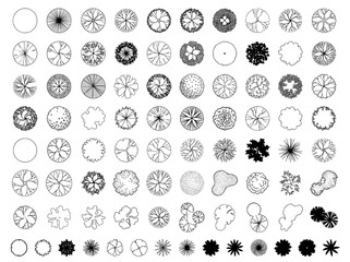 Fototapeta premium Comprehensive Collection of CAD Tree Symbols for Architectural Site Planning and Landscape Design Projects
