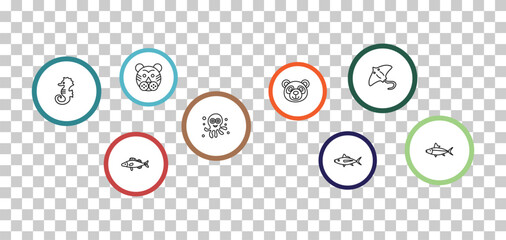 outline animals icons set - tiger, stingray, sea horse, zander. editable vector for web and mobile ui © IconArt