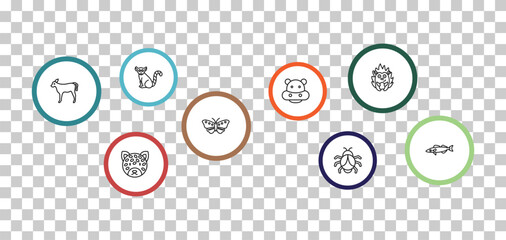 outline animals icons set - lemur, hedgehog, calf, jaguar. editable vector for web and mobile ui © IconArt