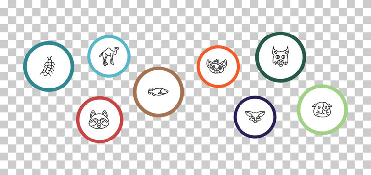 outline animals icons set - camel, pallas cat, centipede, racoon. editable vector for web and mobile ui