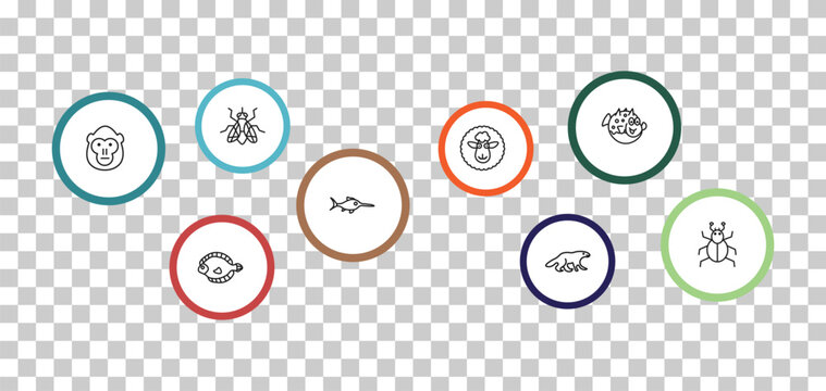 outline animals icons set - fly, globe fish, orangutan, flounder. editable vector for web and mobile ui