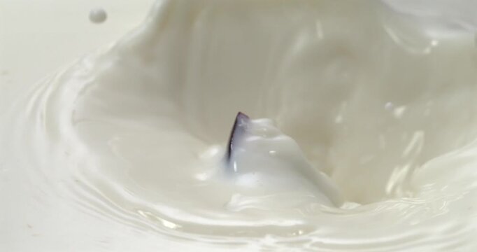 Passion fruit slice falling into milk or cream with splash in super slow motion