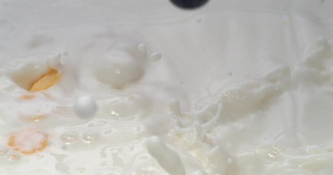 Corn flakes with raspberries and blueberries falling into milk with splash in super slow motion
