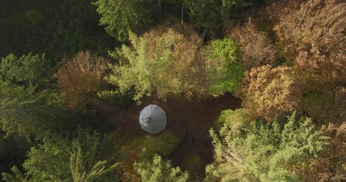 Wei&szlig;es Tipi-Zelt in einem herbstlichen Wald, umgeben von B&auml;umen, Laub und warmer Naturstimmung, als ruhige Outdoor-Szene f&uuml;r Camping, R&uuml;ckzug und Erholung