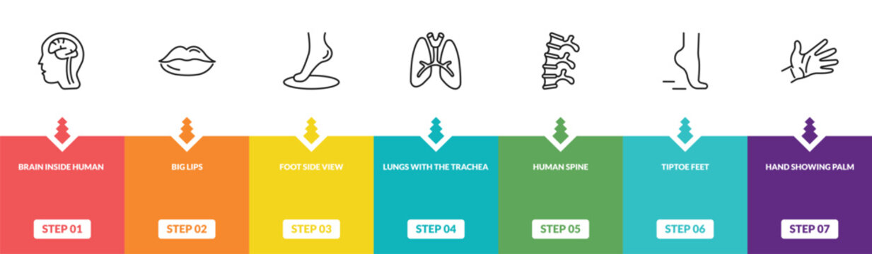 outline human body parts icons set - brain inside human head, big lips, foot side view, hand showing palm. editable vector for web and mobile ui