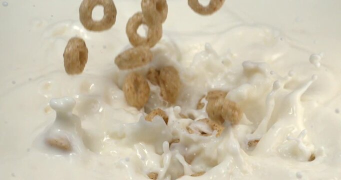 Corn rings falling into milk with splash in super slow motion 1000 fps