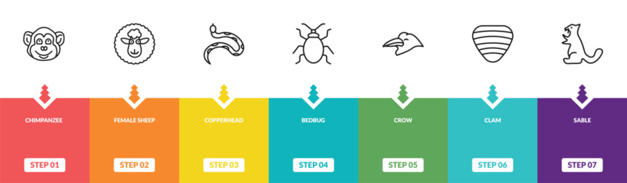 outline animals icons set - chimpanzee, female sheep, copperhead, sable. editable vector for web and mobile ui