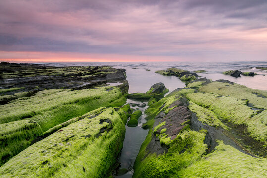Long exposure of mossy rock formations on Ogeia beach under a moody overcast sunrise sky in Bizkaia Basque Country Cantabrian sea coast