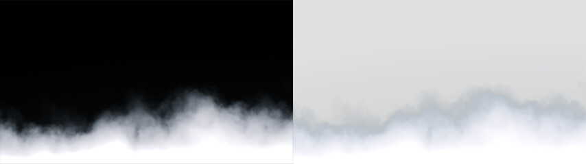 Fototapeta premium Soft fog covers ground in early morning light in a natural setting on a transparent background