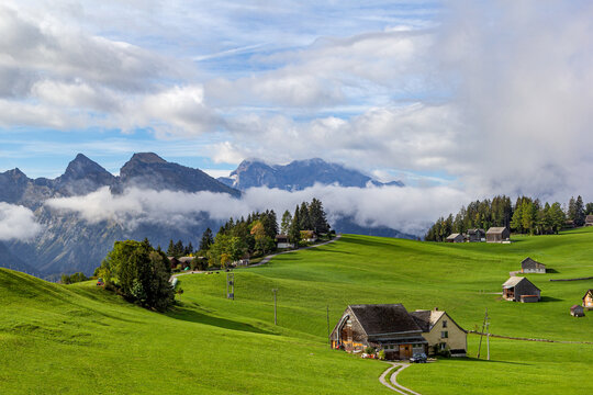 Pasture on  high plateau with Swiss Alps mountain at the background