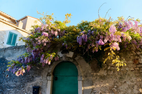 Wisteria Over Stone Village Door
