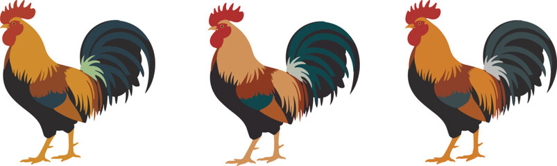Set of three colorful rooster illustrations isolated on white background depicting a farm poultry bird with cockerel agriculture domestic livestock © Chayan