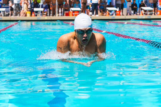 swim meet competition man racing backstroke with spectators 