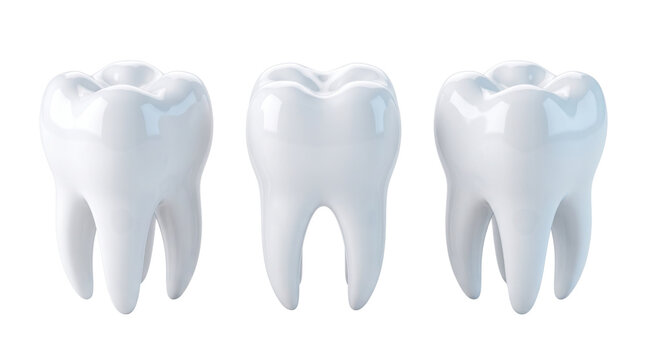 Anatomical human molar teeth on white background, clean white tooth set for dental healthcare, three shiny ceramic molars for dentistry and oral hygiene