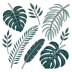 Collection of dark and light teal tropical leaves stylized monstera and palm foliage graphic design elements split leaf tropical monstera © Ar
